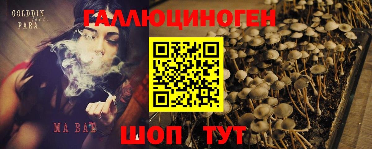 Галлюциногенные грибы Magic Shrooms Старая Купавна